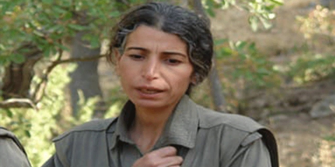 PKK'nın sözde finans sorumlusu Zülfiye Binbir'i etkisiz hale getirdi