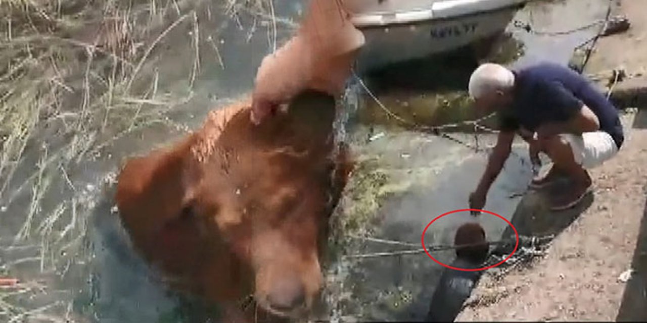 Denize düşen köpek son anda kurtarıldı