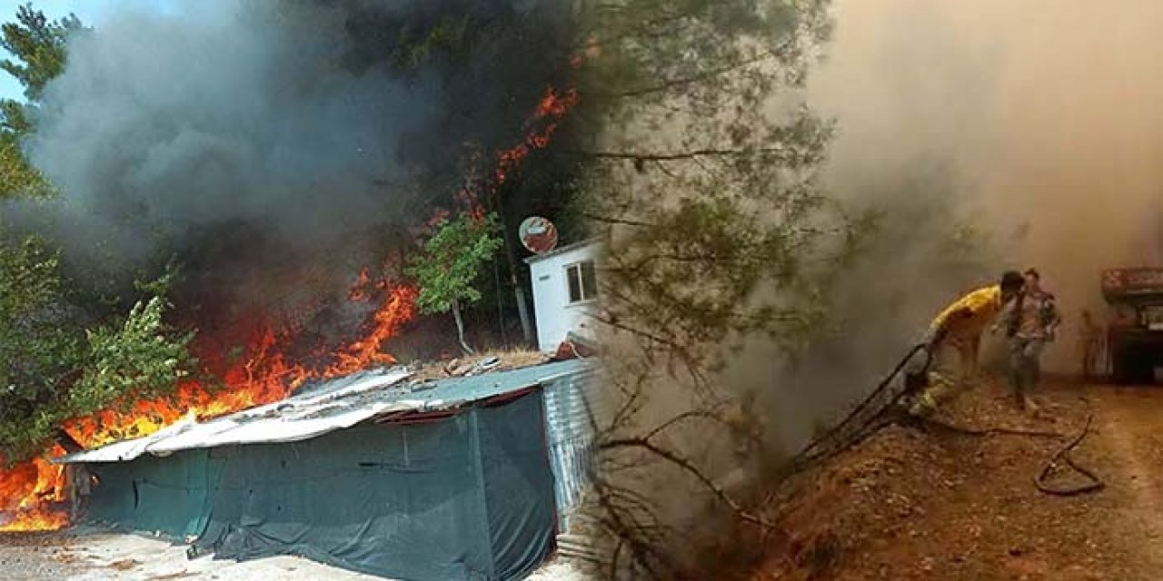 Çanakkale Ayvacık’ta orman yangını!