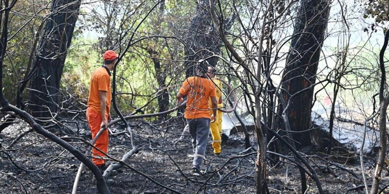 Muğla'da çıkan orman yangınında çalışmalar sonuç verdi
