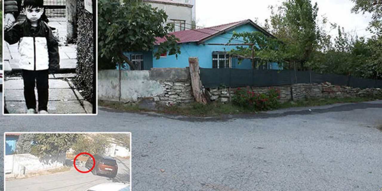 Kedi sevmek isteyen 2 yaşındaki çocuk canından oldu