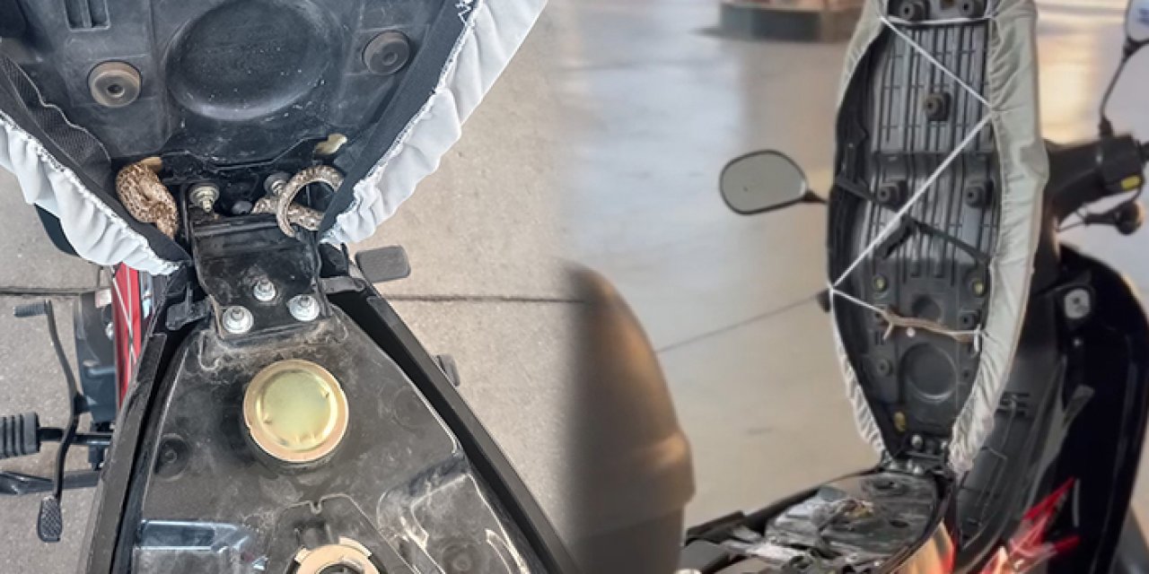 Motosiklet selesinden yılan çıktı!