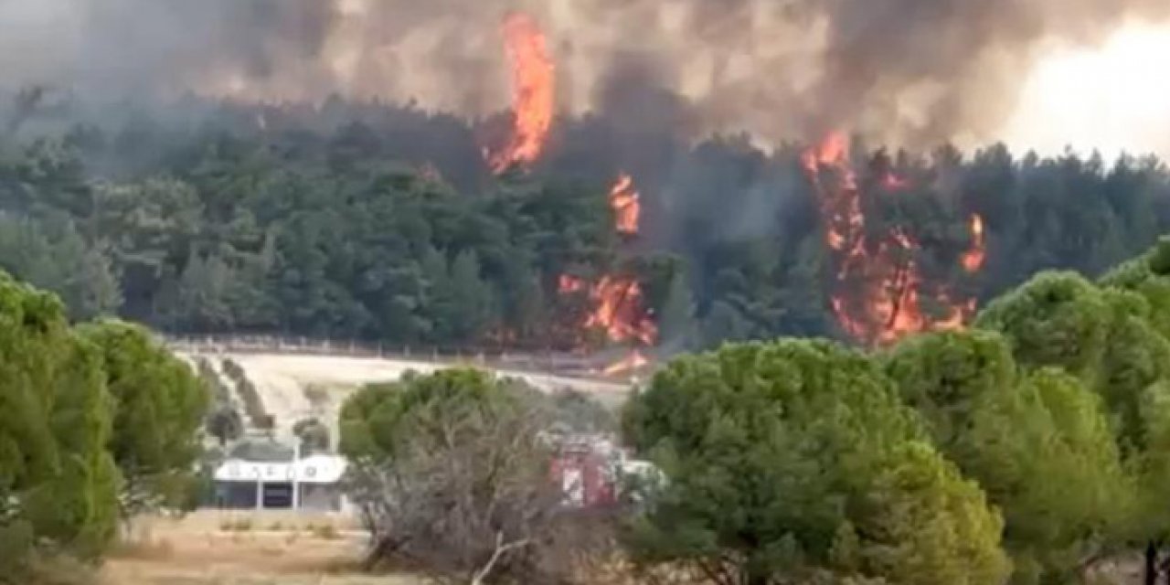 İzmir'de orman yangını
