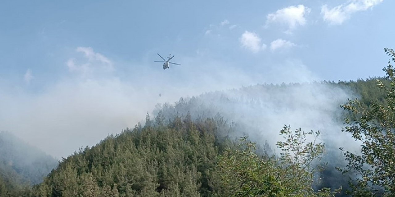 Osmaniye Düziçi’nde orman yangını
