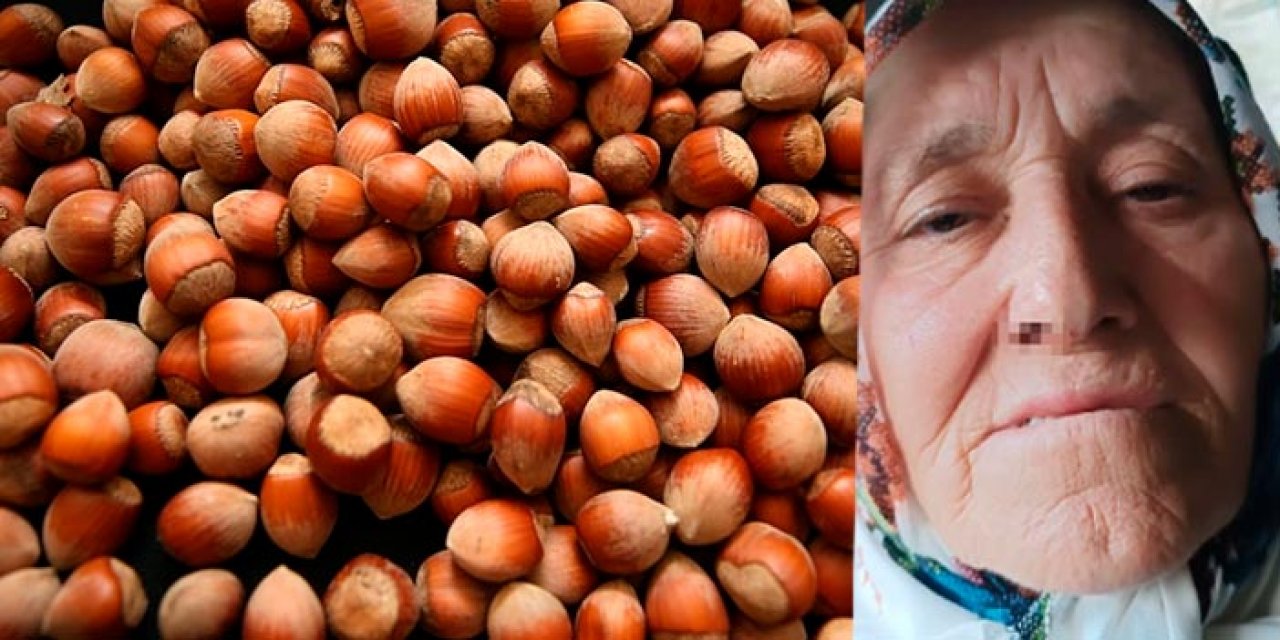 Fındık tartışmasında 73 yaşındaki kadını darbettiler