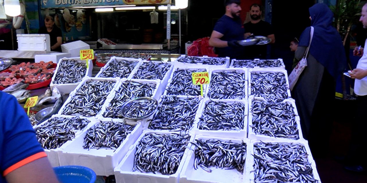 Hamsi bollaştı fiyatlar düştü