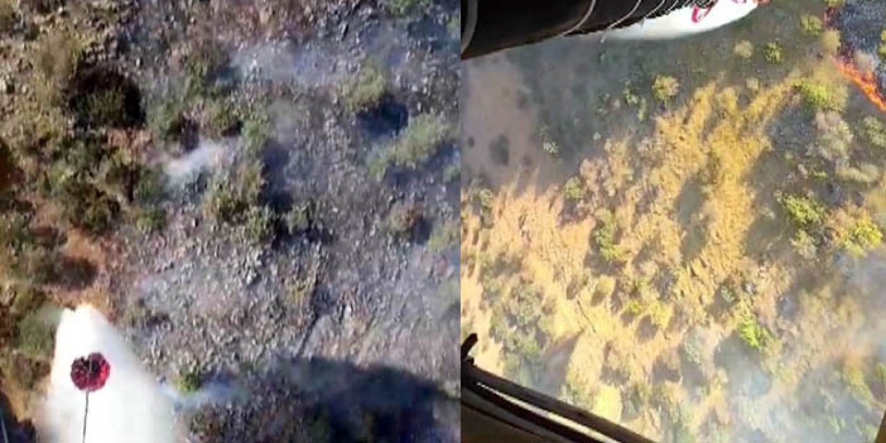 50 hektar alan çay için yanmış!