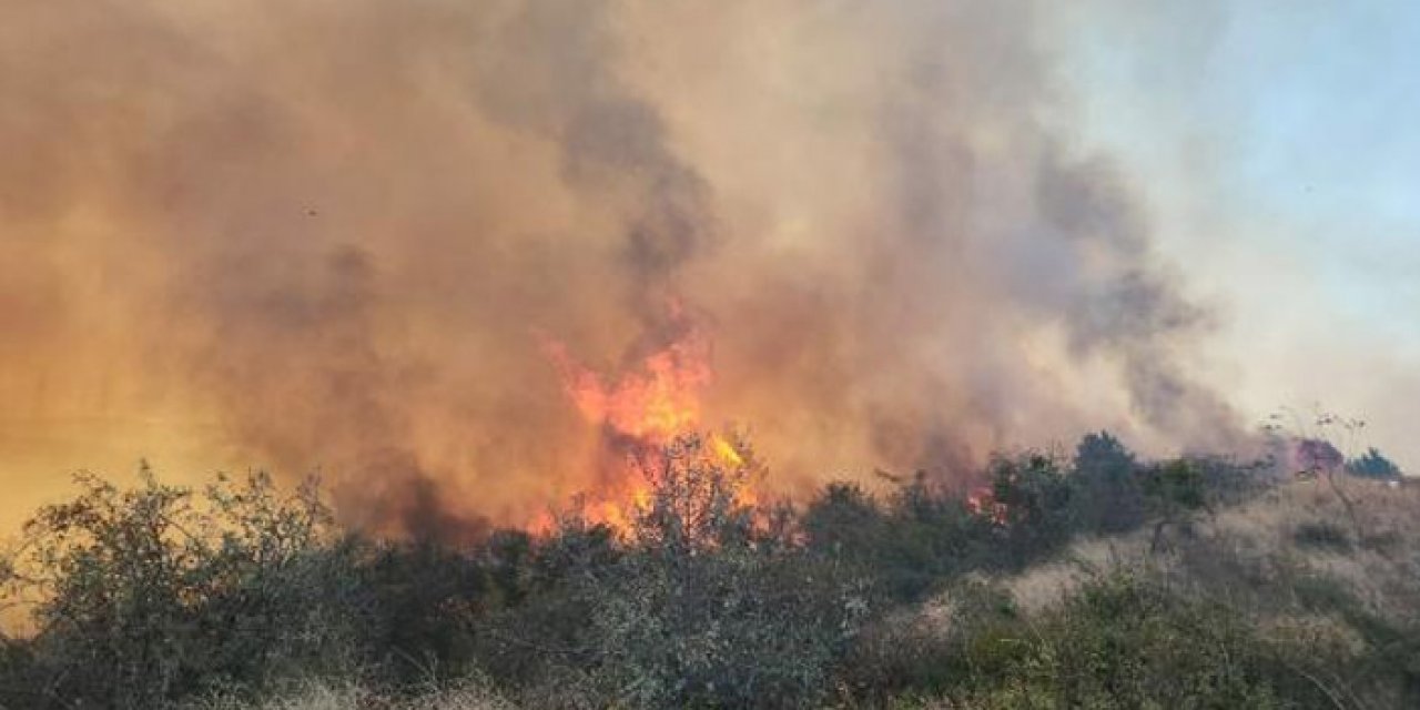 Çanakkale’de yangın: Havadan ve karadan müdahale ediliyor