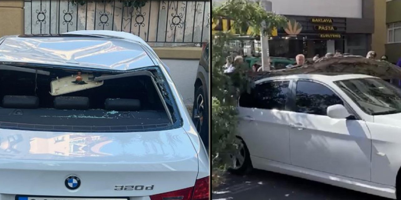 İstanbul'da ağaç otomobilin üzerine devrildi