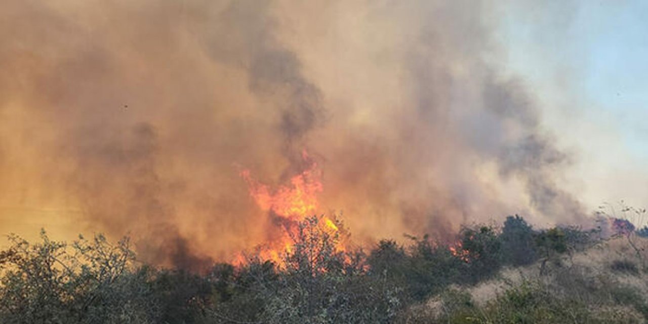 Yangına havadan ve karadan müdahale ediliyor