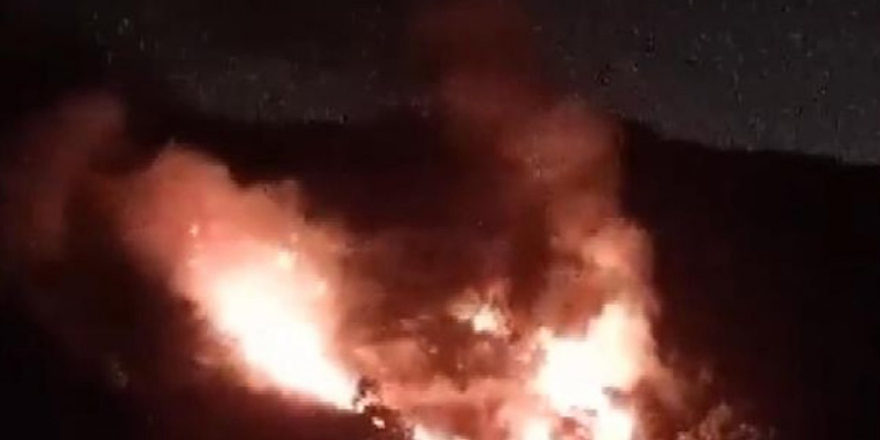 İstanbul'da orman yangını: Müdahale sürüyor