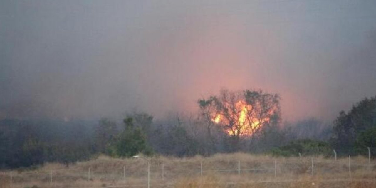 Çanakkale’de maki yangını çıktı