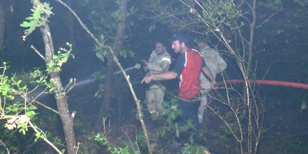 Pendik'teki yangında 6 hektar alan kül oldu