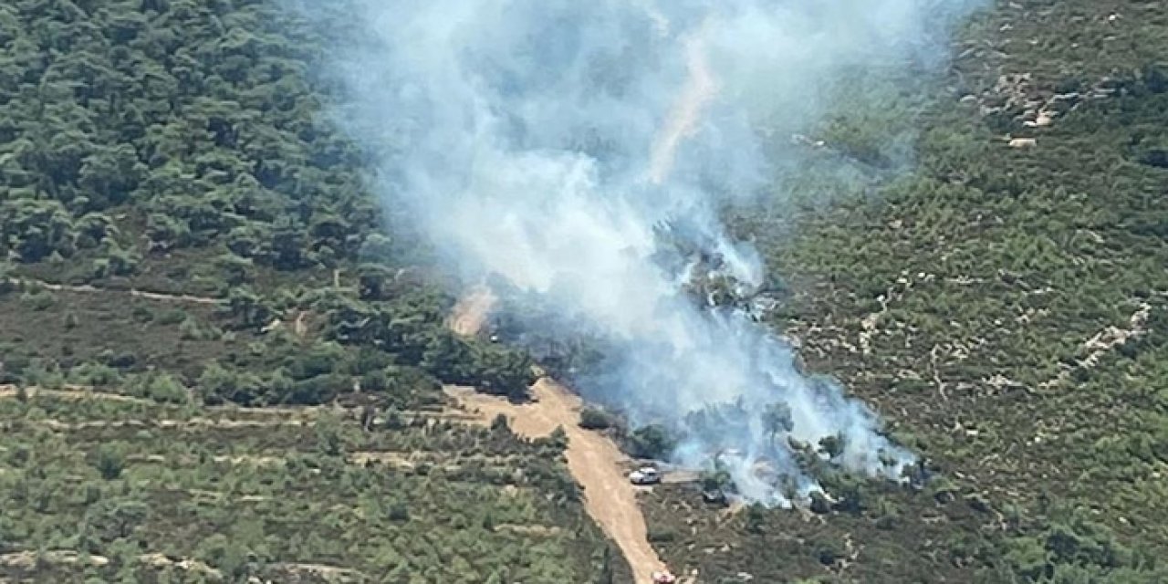 Foça’da yangın: Müdahale sürüyor