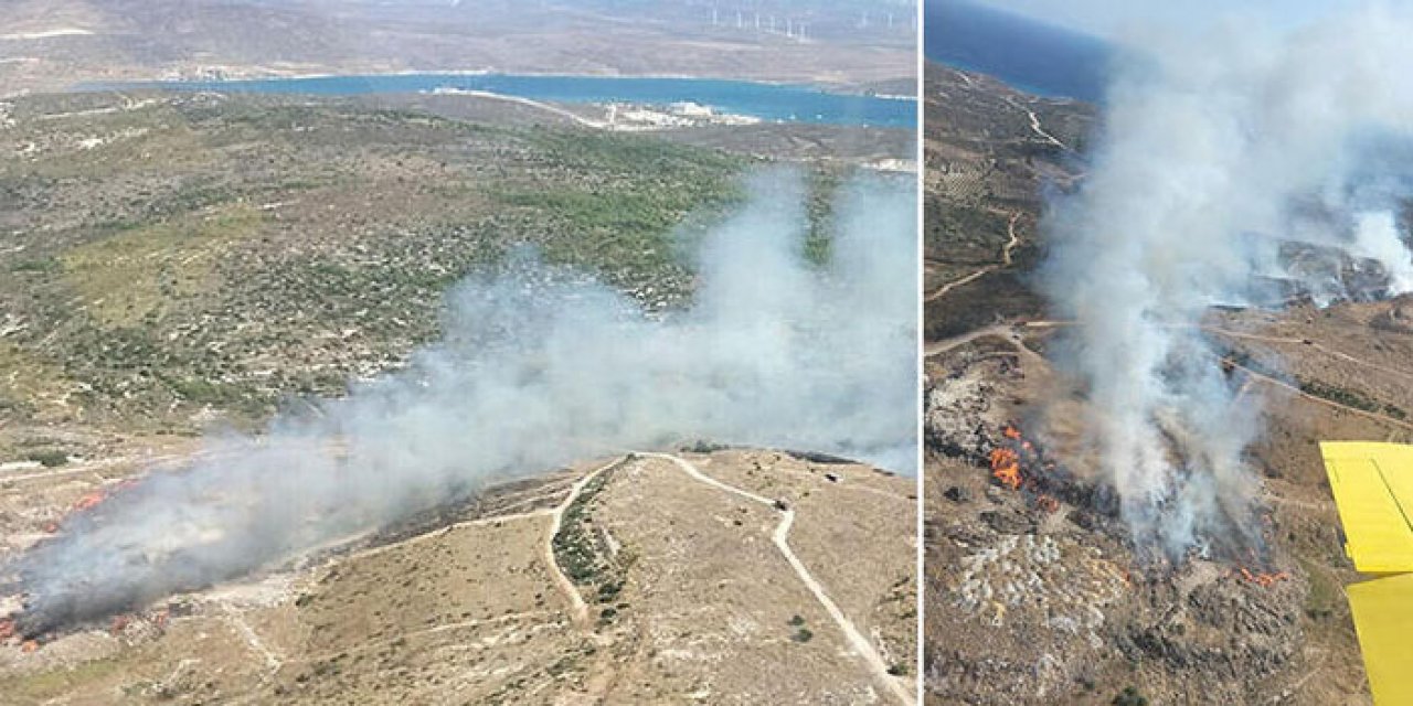 Çöplükte çıkan yangın ormana sıçradı