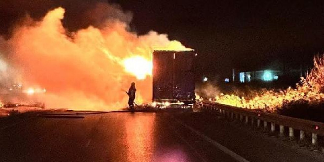 TIR'da çıkan yangın sazlıklara sıçradı