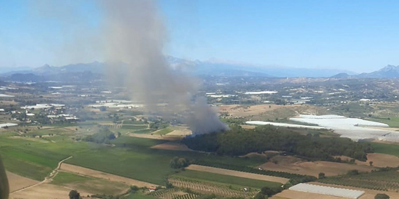 Orman yangınına müdahale devam ediyor