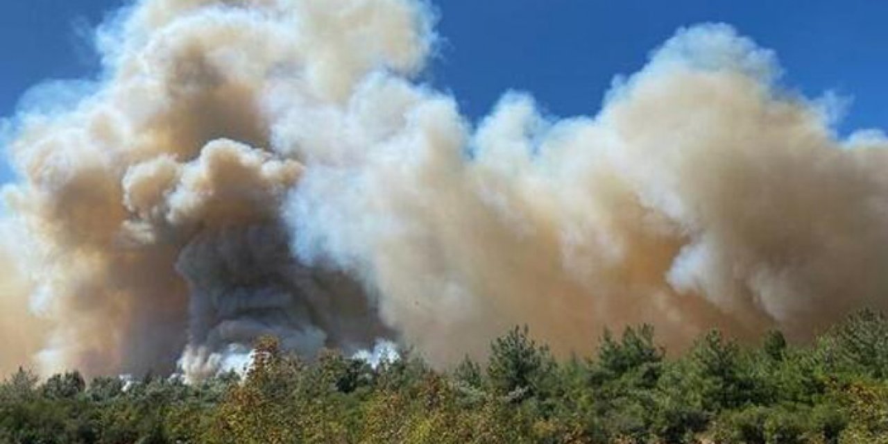 Manisa'da orman yangını başladı