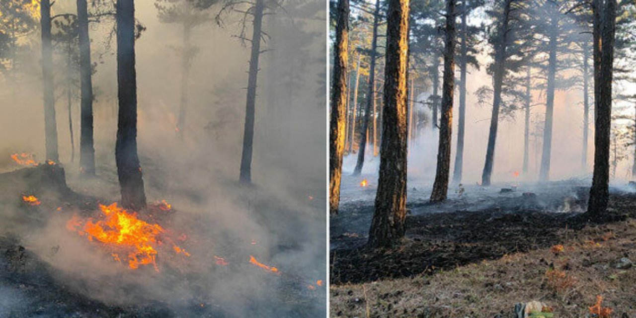 Çanakkale’deki orman yangını kontrol altında