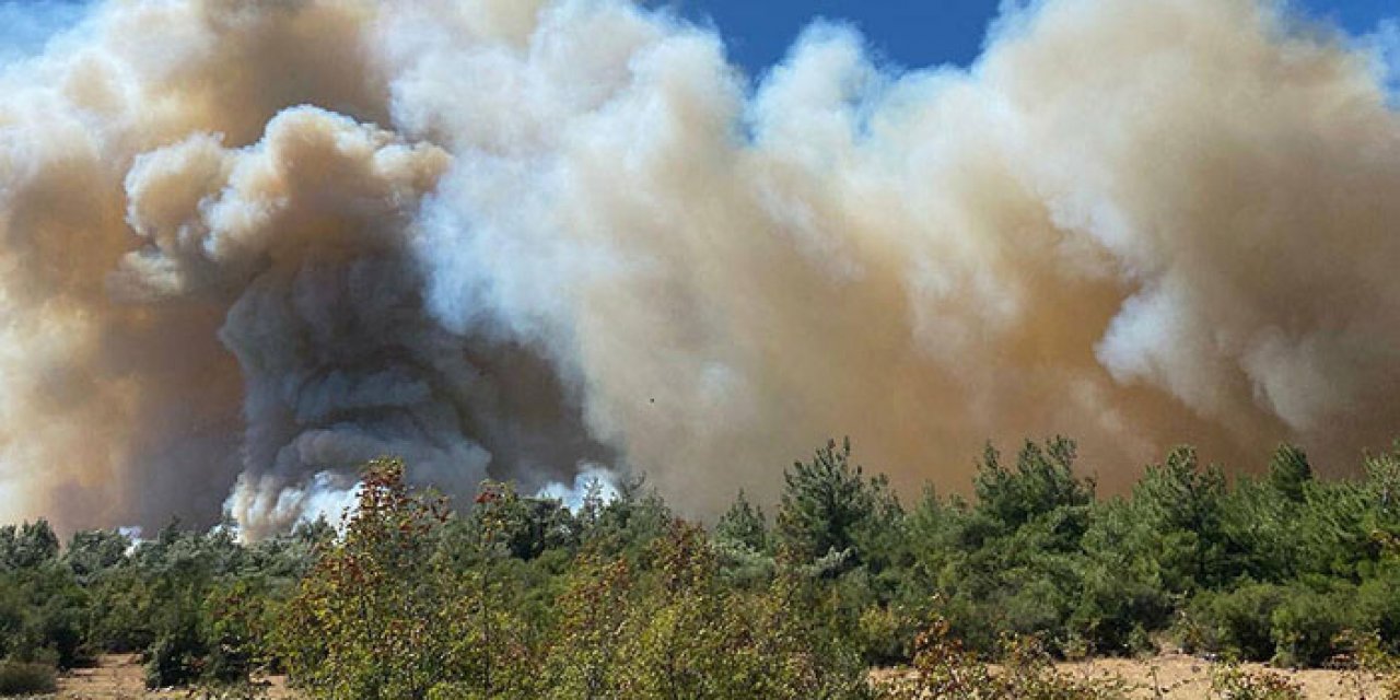 Manisa'daki orman yangını 12 saat sürdü