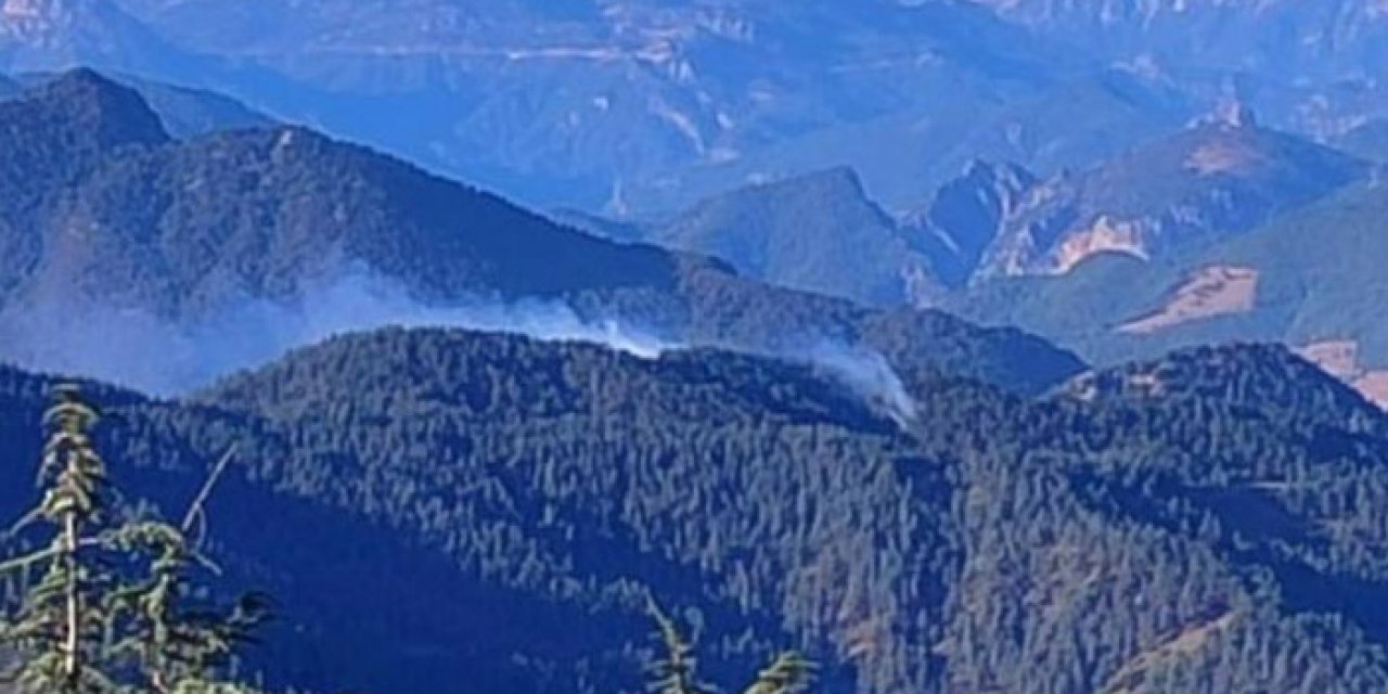 Adana'da ormanlık alanda yangın
