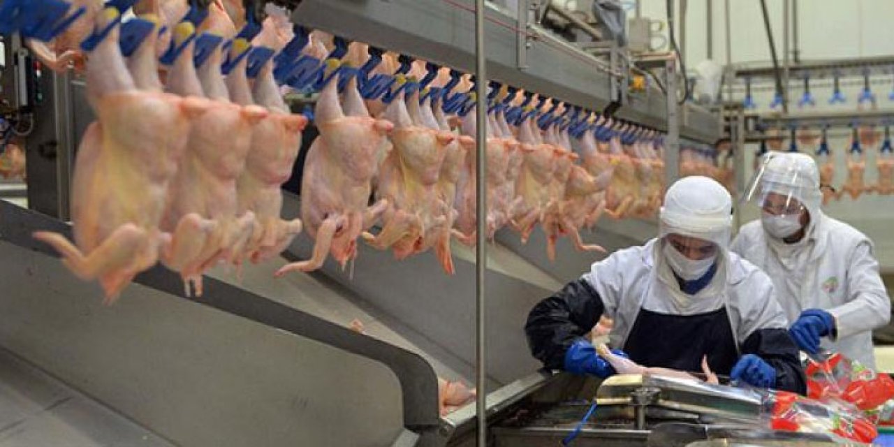 Tavuk etine temmuz artışı