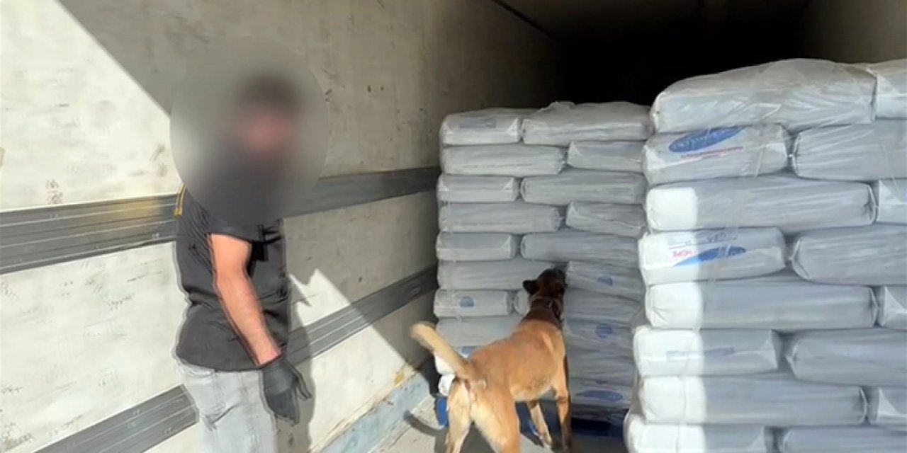 Narkotik köpeklerinden bir başarı daha