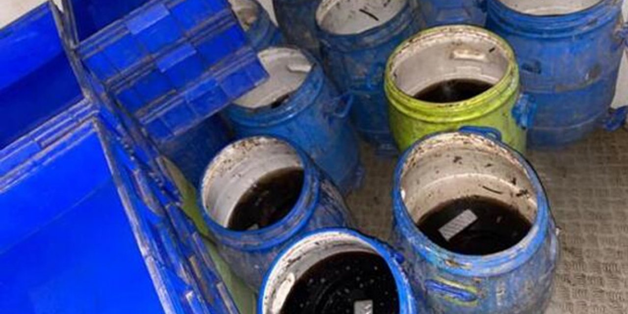 Ele geçirilen 500 kilogram deniz patlıcanı denize bırakıldı