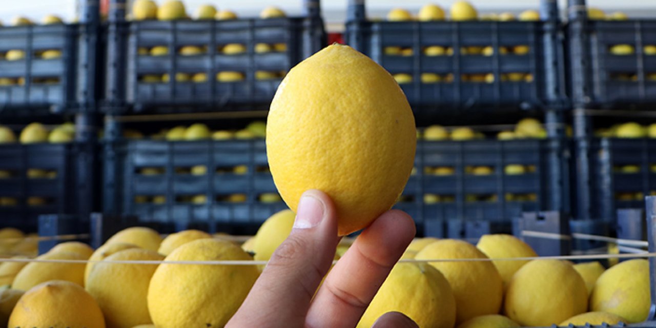 Limonun serüveni: Bahçede 3, halde 4, market rafında 24 lira