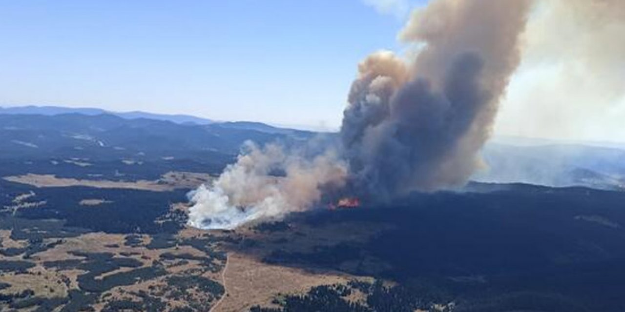 Bolu'da orman yangını başladı