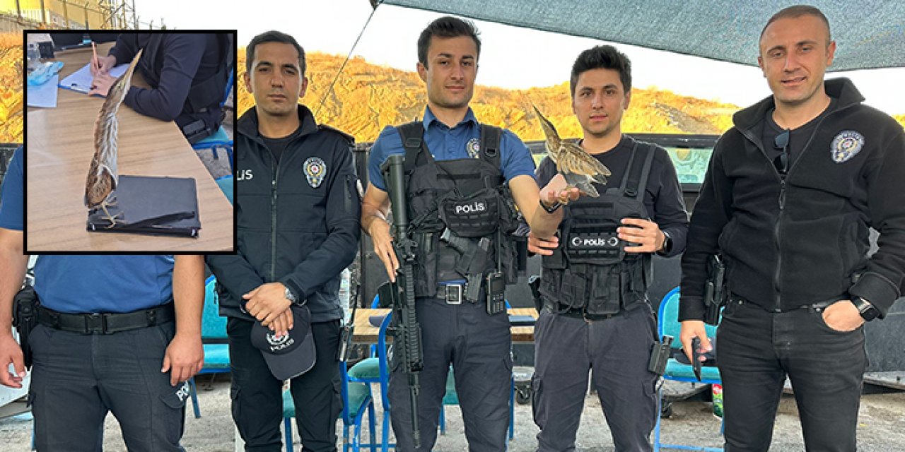 Yaralı balaban kuşu polise sığındı