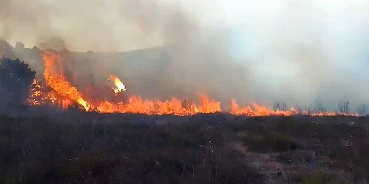 İstanbul'da korkutan yangın