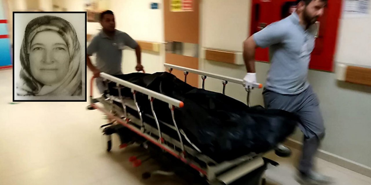 Arının soktuğu kadın hayatını kaybetti