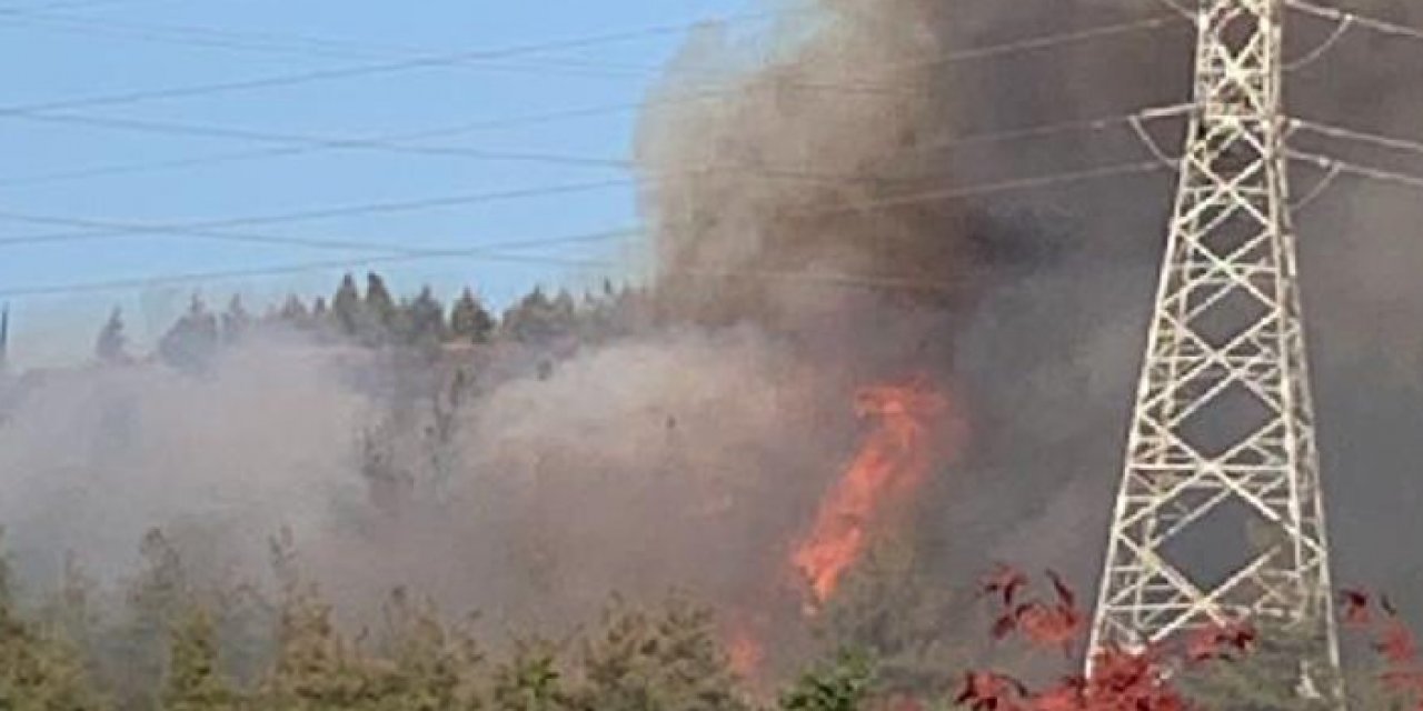 Bursa'da orman yangını çıktı: 2 helikopter destek veriyor