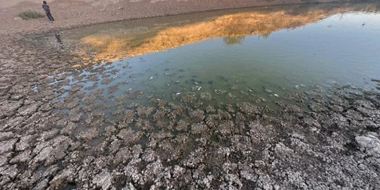 Suyu çekilen gölette yüzlerce balık öldü