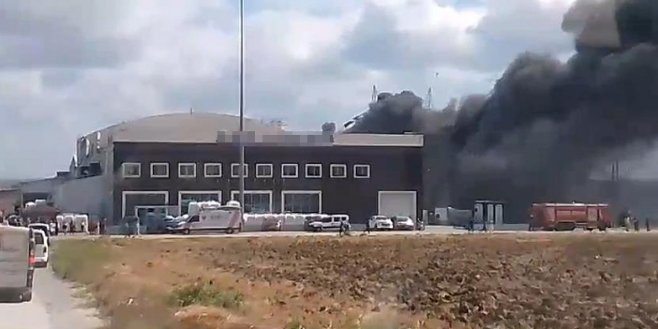 İstanbul'da fabrika yangını: Müdahale sürüyor