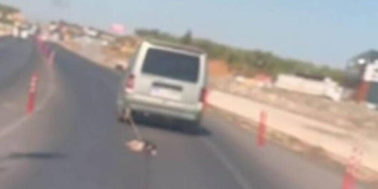 Araca bağladığı köpeği metrelerce sürükledi
