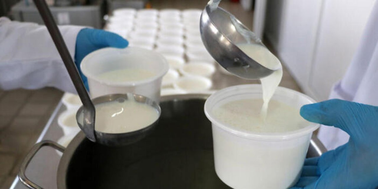 Yoğurt için patent başvurusu