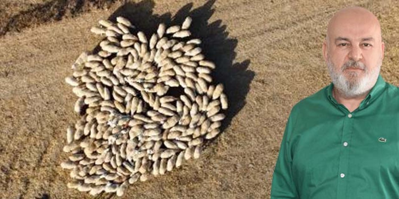 Türkiye'de çoban sorunu büyüyor: Çoban bulmakta zorluk yaşanıyor