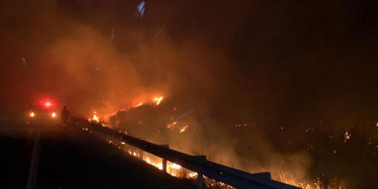 Malatya'da meyve bahçesinde yangın çıktı