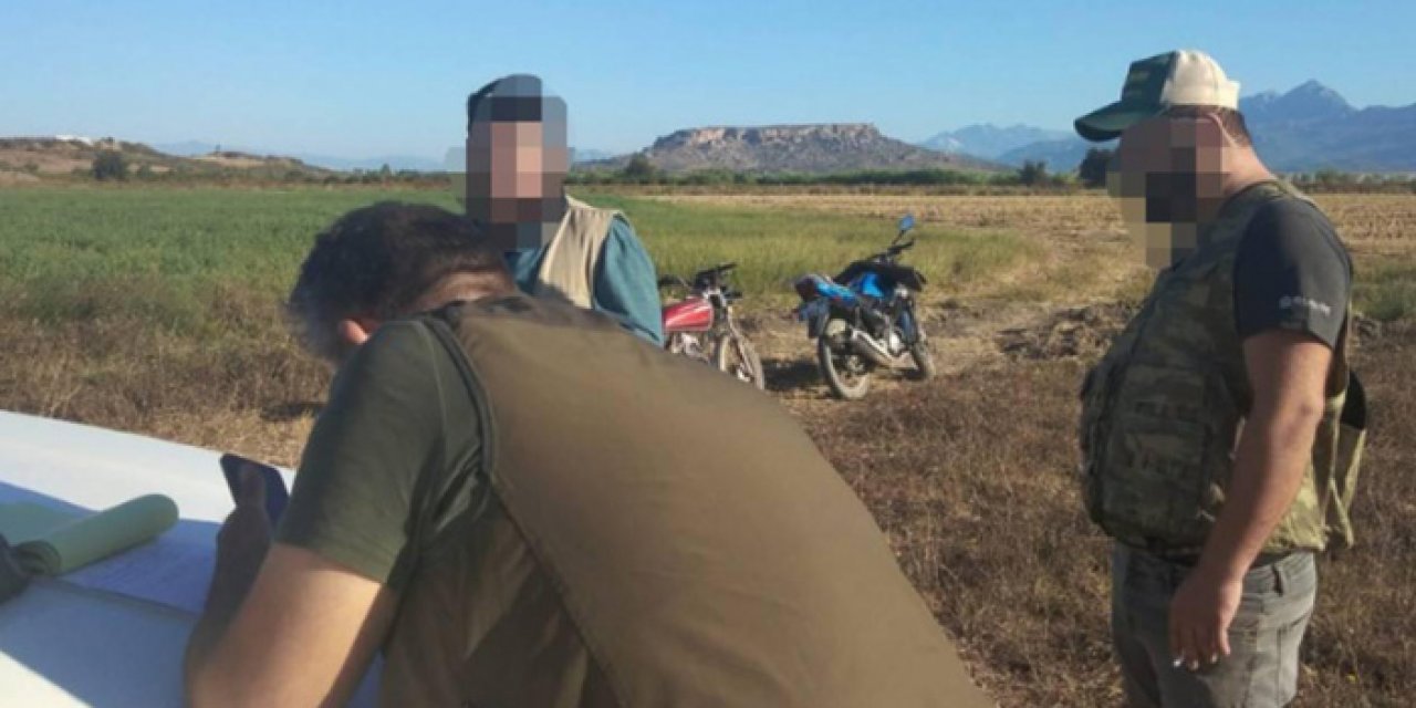 Bıldırcın sesli avlanmaya rekor ceza