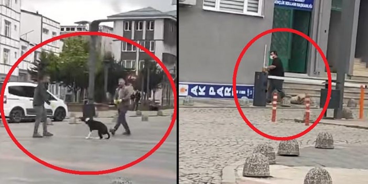 O belediye görevlilerine soruşturma! Sokak köpeklerini sürükleyerek götürmüşlerdi!