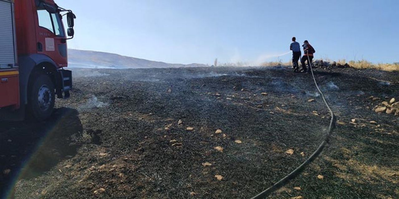 Siirt'te yangın; 50 dönüm arazi zarar gördü