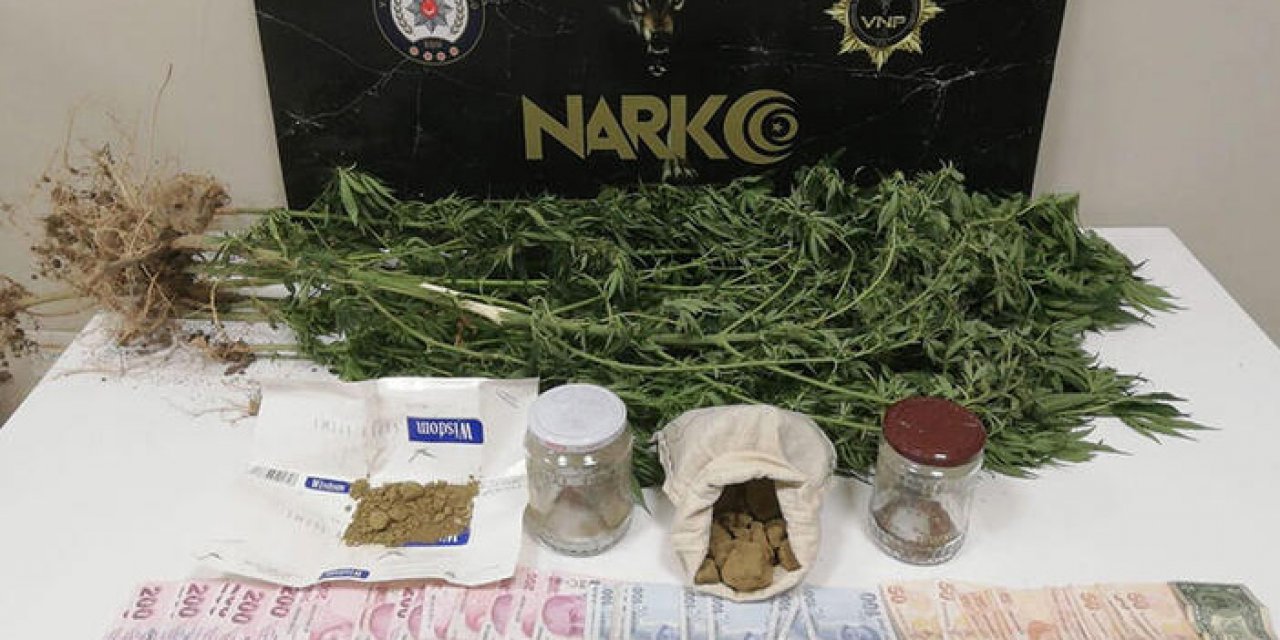 Van'da uyuşturucu operasyonu: 19 gözaltı