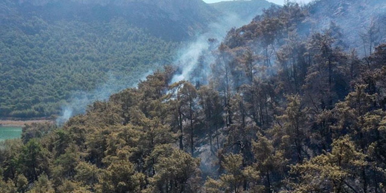 260 hektar alan kül oldu, ciğerimiz soldu