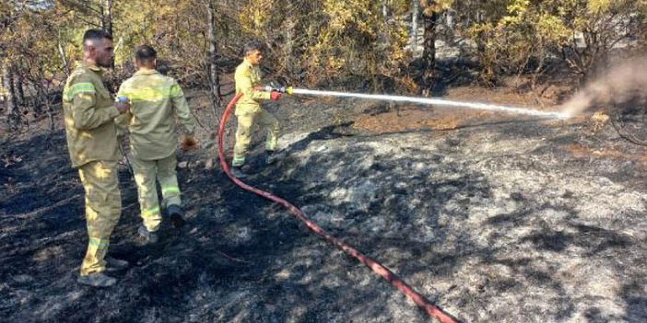 Kuru otlar tutuştu; 2 dönüm orman yandı