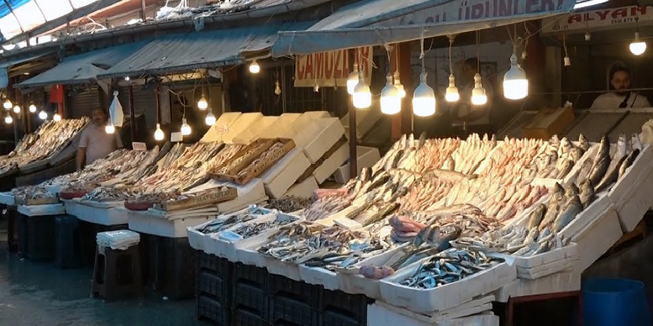 Hangi Balıklar Daha Faydalı! İşte En Faydalı Balık Çeşitleri