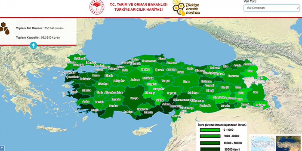Türkiye Arıcılık haritası güncellendi: Arıcılara kolaylık sağlandı