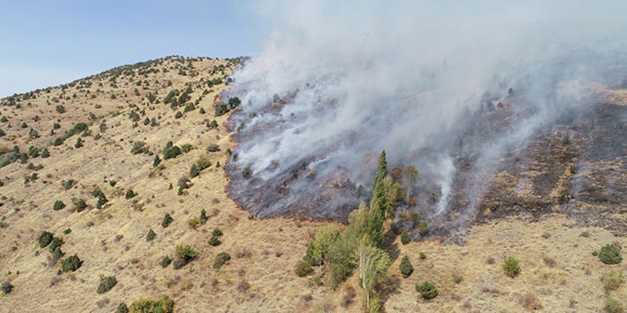 Sivas’ta otluk alan yangını!