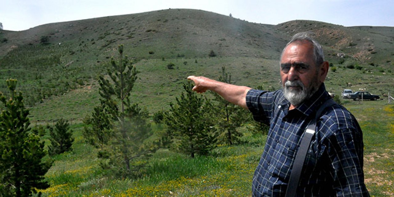 Gümüşhane’de tuhaf olay! 12 bin fidan diktiği ormanda çıkan yangınla yaşamını yitirdi!